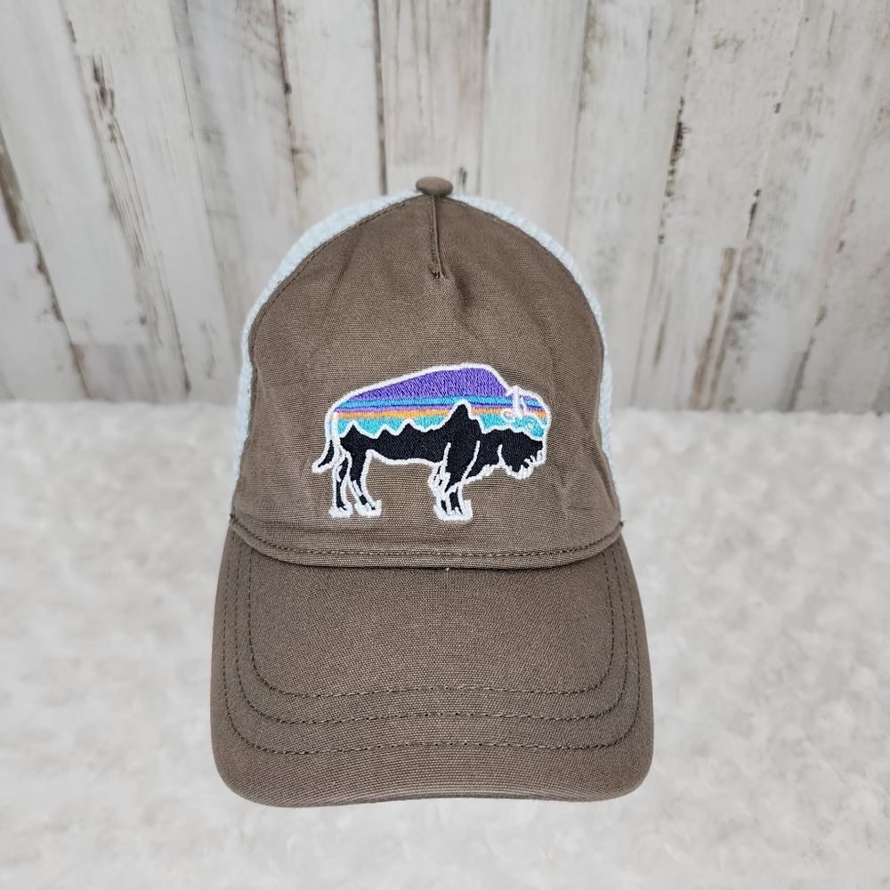 Patagonia Light Blue and Brown Cap